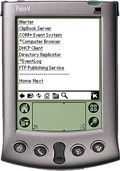 Mobile Administrator - control your servers using any pocket device.